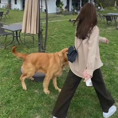 高潮医生